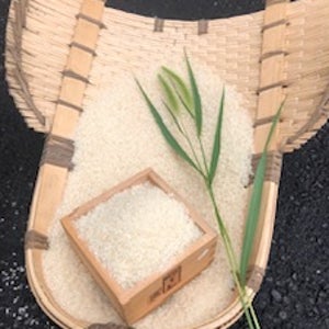 봉황뜰 누룽지향나는 향미 5kg / 2025년산