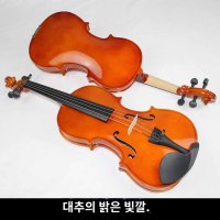 성인 바이올린 연습용 초보용 중급 독학 취미 방과후