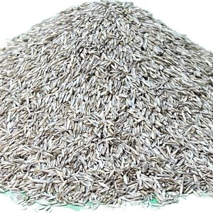 양잔디 종자 혼합 1kg 풀씨 시드 스프레이 톨훼스큐 3종