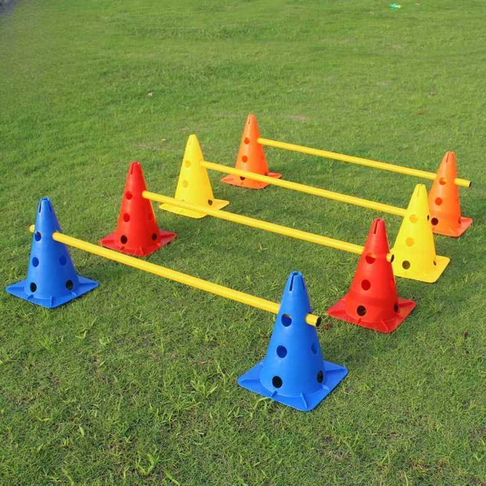 개 훈련 학원 (Dog Training Classes)