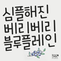 아이폰 폰트 Egg9베리베리블루플레인 카톡 핸드폰