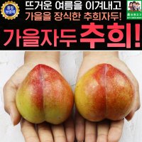 안동 추희자두 선물용 3kg 15과내외