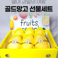 골드망고 추석과일세트 프리미엄 당도선별 혼합 모듬과일 집들이 감사 결혼 명절 과일바구니