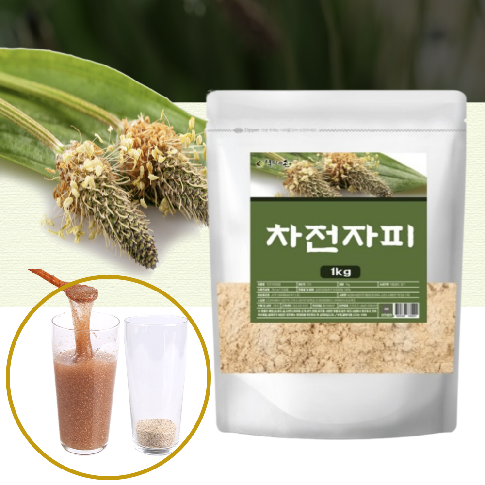 <b>차전자피</b>가루 <b>차전자피</b> 분말 <b>차전자피식이섬유</b> 1kg 질경이 씨앗 껍질 먹는법