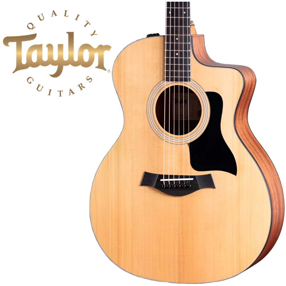 Taylor 테일러114ce s 샤펠 측후판 최신 모델 ES2 픽업 최고급 구성품