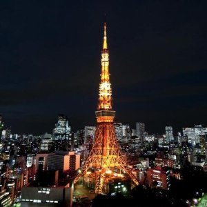 일본 도쿄 타워 전망대 입장권 [TI_p1016650]
