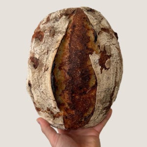 고다치즈 사워도우 / 샤워도우빵 깜빠뉴 식사대용 천연발효 무설탕 노버터 노계란