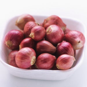 채소팜 샬롯 미니양파 자색양파 1kg