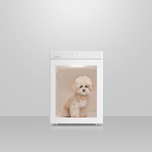 붐펫드라이룸 단델리온