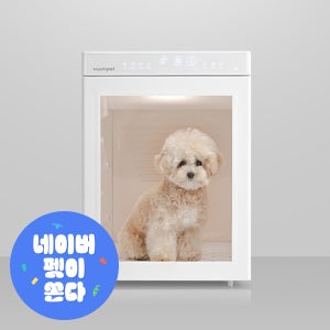 붐펫드라이룸 단델리온