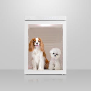 붐펫드라이룸 로투스