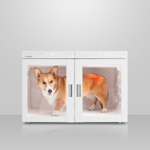 붐펫드라이룸 단델리온 듀얼