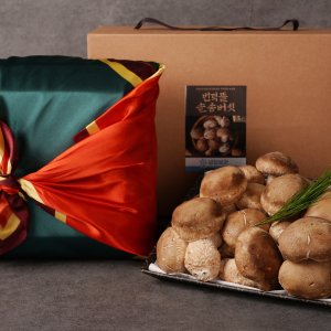 솔송화버섯 프리미엄 선물세트 고급형 1kg 설 선물 명절선물세트 번덕뜰 솔송버섯