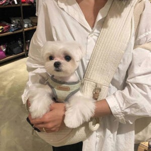 강아지산책가방 강아지아기띠 고양이띠 포대기 슬링백 앞가방