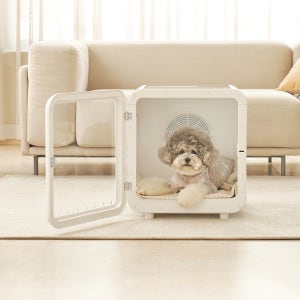 캐치웰 펫드라이룸 강아지 고양이 드라이기 반려동물 애견 털 건조기