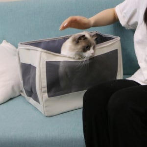 PETSEEK TRENDY 심플리 반려동물 백팩 이동가방