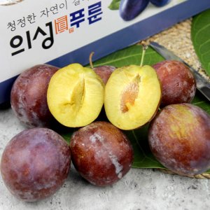 건자두 최저가 가성비상품