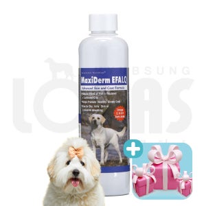 협성로하스 맥시덤리퀴드 모발 영양 220ml