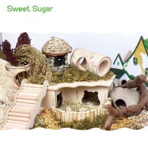 스윗슈가 3룸 골든용 은신처