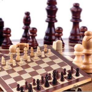 펀그라운드 킹스맨 우든체스 와이드 원목체스 자석 체스판 고급형