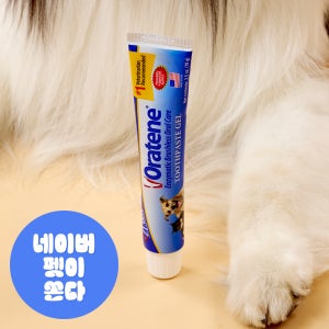 오라틴 자이목스 투스페이스트 젤 70g 강아지 고양이 구강 관리 치약
