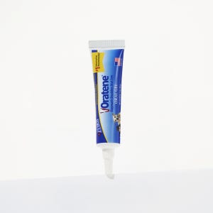 [강아지의날] 오라틴 자이목스 안티셉틱 오럴 젤 겔 28g 강아지 고양이 구강 관리 치약