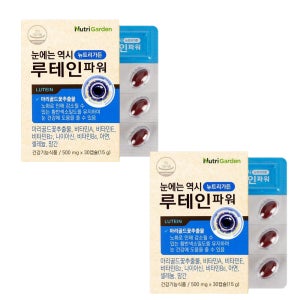 2개월분 뉴트리가든 루테인 파워 비타민 A B2 B6 E 나이아신 아연 셀레늄 망간