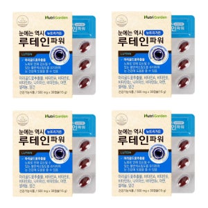 4개월분 뉴트리가든 루테인 파워 비타민 A B2 B6 E 나이아신 아연 셀레늄 망간