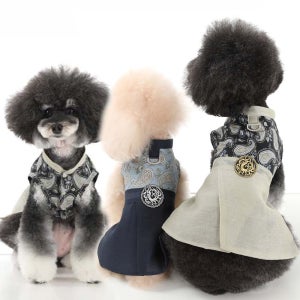 엔돌펫 케이컬처 강아지 한복 남아용 배자 페이즐리 하네스옷 소형견 중형견 설 추석 옷