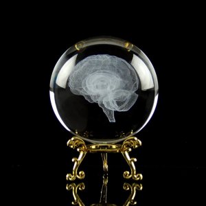 인간 크리스탈 공 유리 뇌 구슬 미니어처 기념품 장기 마법 대뇌 우주 소원 의료 수정
