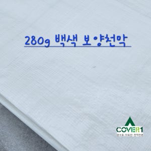 커버원 280g 백색 보양천막 갱폼 동절기보양 텐트보호천막 탑지 10mx10m
