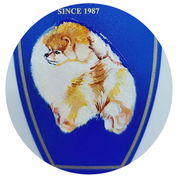 포메라니안 (Pomeranian)