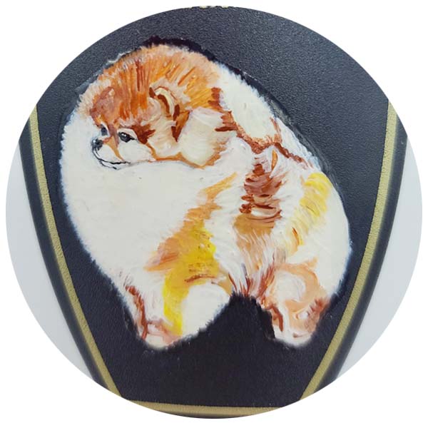 Pomeranian (포메라니안)