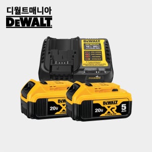 디월트 20V 리튬이온 5.0Ah 배터리 2개 충전기 스타터 키트 세트 DCB184P2