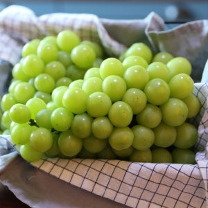 25년 첫 수확 고당도 달콤한 샤인머스켓 2kg 4kg