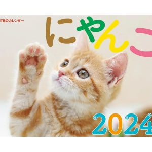 2024년 달력 고양이 달력 JTB 벽걸이 (캘린더2024)