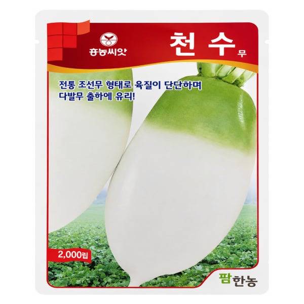 김장무씨앗 전통조선무 천수무 2000립