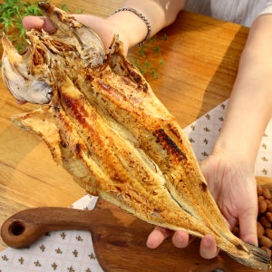 촉촉 황태 40cm 전주 가맥 황태 촉태