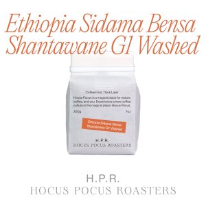 에티오피아 시다마 벤사 산타와니 워시드 200g