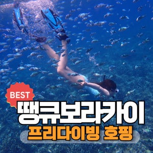 보라카이 호핑투어 자유여행 스노클링 땡보 프리다이빙X먹방호핑