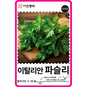 이탈리안 파슬리 씨앗 1000립 / 파슬리 종자 채소씨앗