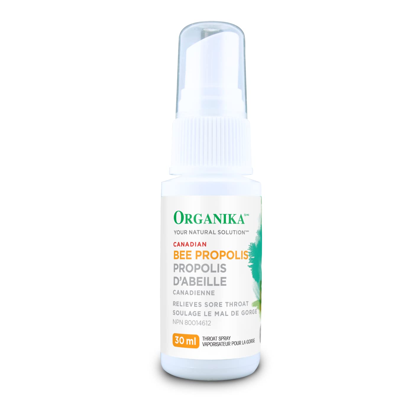 <b>오가니카</b> 꿀벌 프로폴리스 리퀴드 30ml <b>면역력</b> 겨울철 감기