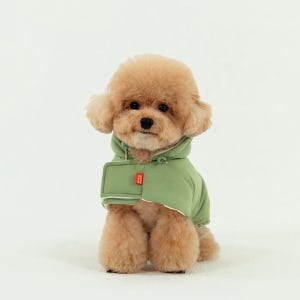 래핑찰리 강아지 패딩 겨울옷 히트 패딩 케이프