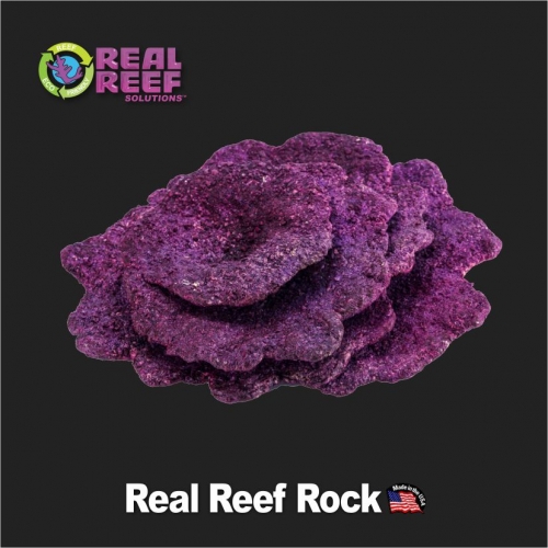 리얼 리프 락-16Kg 1박스 RRPC-Real Reef