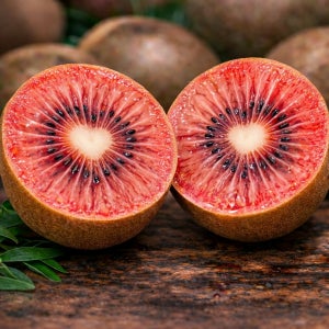 제스프리 레드키위 뉴질랜드 골드키위 그린키위 수출용 제주 홍다래 참다래 선물세트