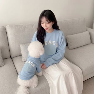 강아지옷 강아지티셔츠 고양이옷