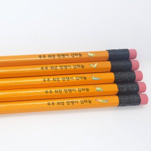 이름 각인 스테들러 옐로우 네임연필 빙그레따옴체 레인보우공룡
