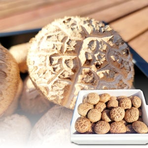 선물용표고버섯 좋은 생 참나무 무농약 백화고 국내산 명품 버섯 1kg 2kg