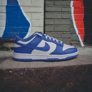 나이키 덩크로우 폴라블루