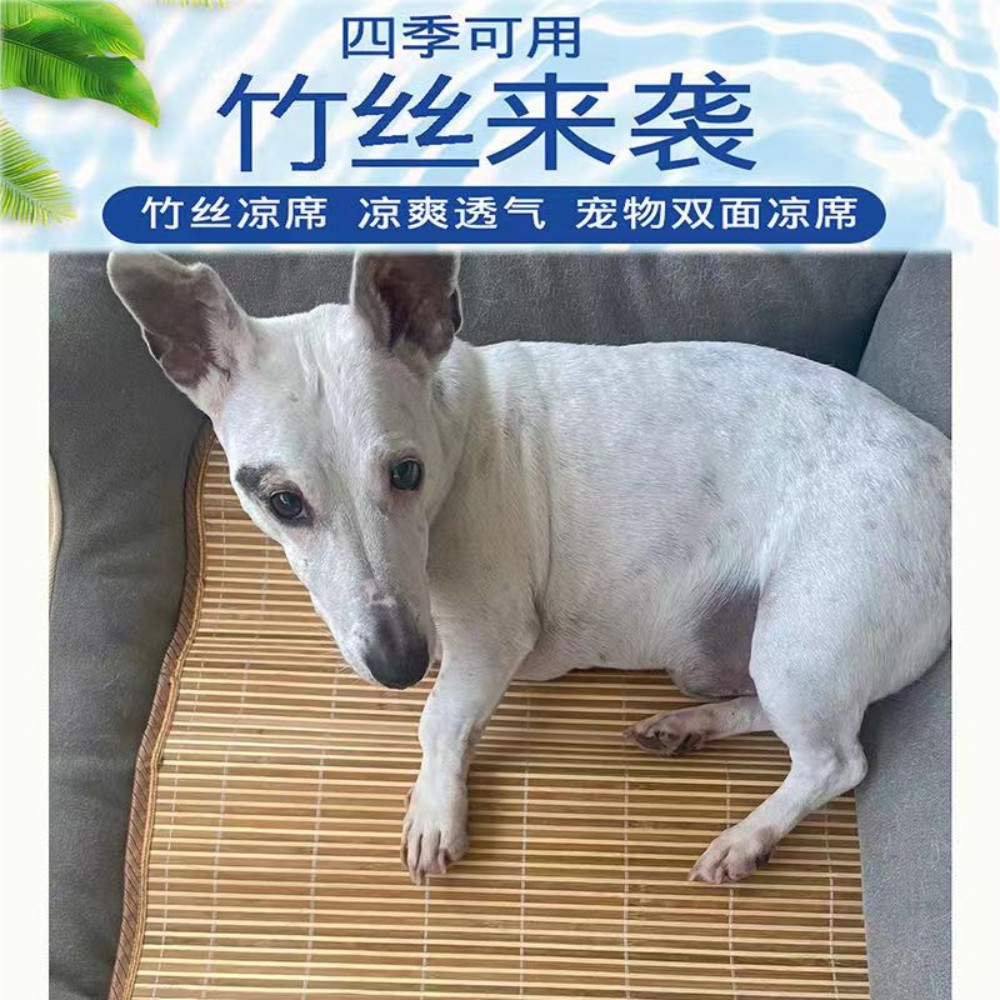 강아지쿨매트 고양이 샌들 양용 아이스하이드 여름 와 함께 펫을